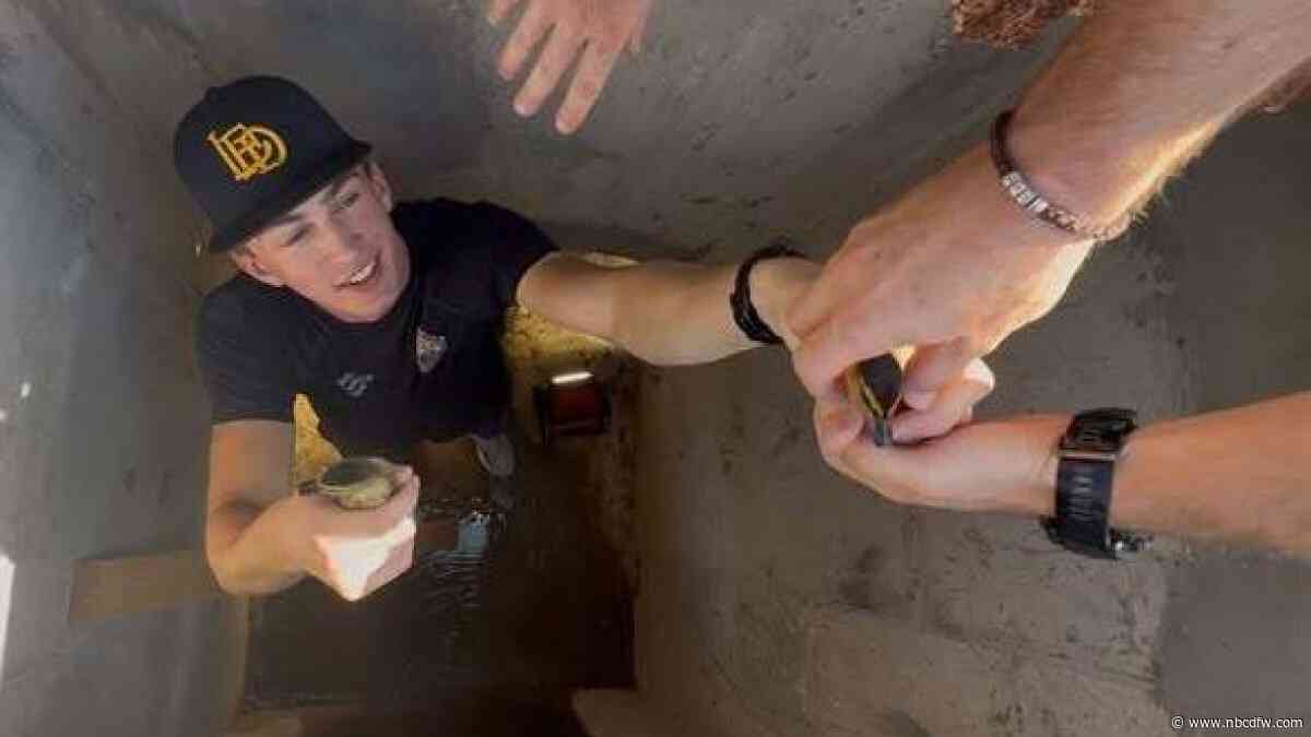 Lucky Ducks: Lewisville Fire Department rescues three ducklings from drain