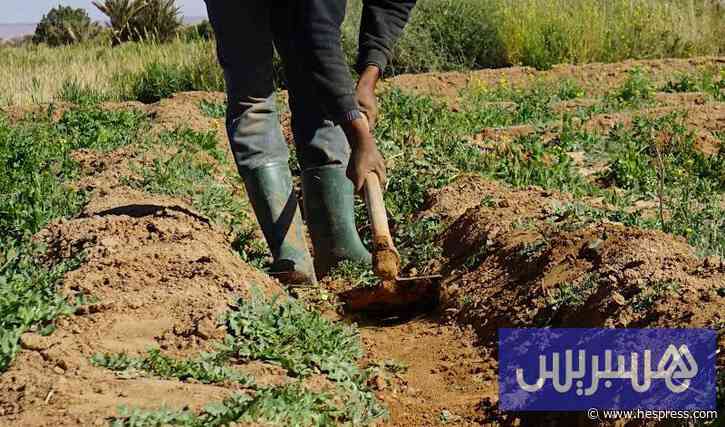 السياسات المائية تدعم مرونة الأنشطة الزراعية أمام الجفاف في المغرب