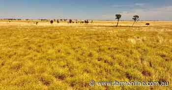 Grassed up grazing country makes $409/acre in strong auction result | Video