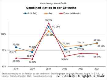 So (un)rentabel sind die Marktgrößen der Hausratversicherer