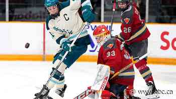Hilary Knight extends PWHL deal through 2028-29 season before first game with Detroit