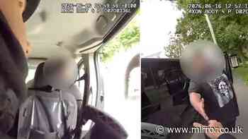 Van driver tells armed police 'Get in the back' to help catch suspect in Margate
