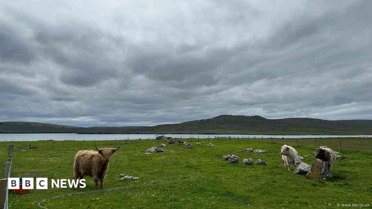 What heatwave? Shetland stays cool under grey skies