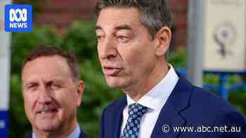 Disunity but not death for Basil Zempilas and WA Liberals after MP quits