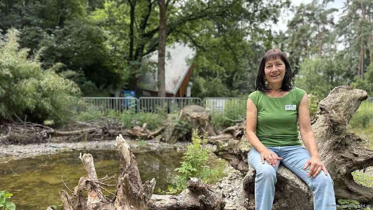 Aus Beton wird Natur – doch ein Gitter sorgt im Waldkraiburger Stadtpark für Diskussionen