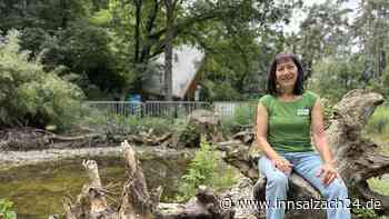 Aus Beton wird Natur – doch ein Gitter sorgt im Waldkraiburger Stadtpark für Diskussionen