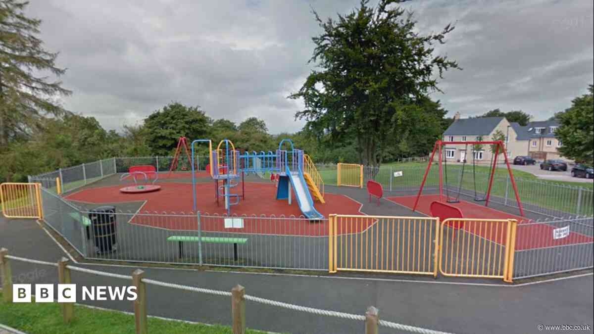 Girl, 11, sexually assaulted near playground