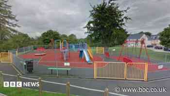 Girl, 11, sexually assaulted near playground
