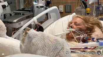 Woman fighting for her life after 'falling asleep in the sun' caused horrific injuries