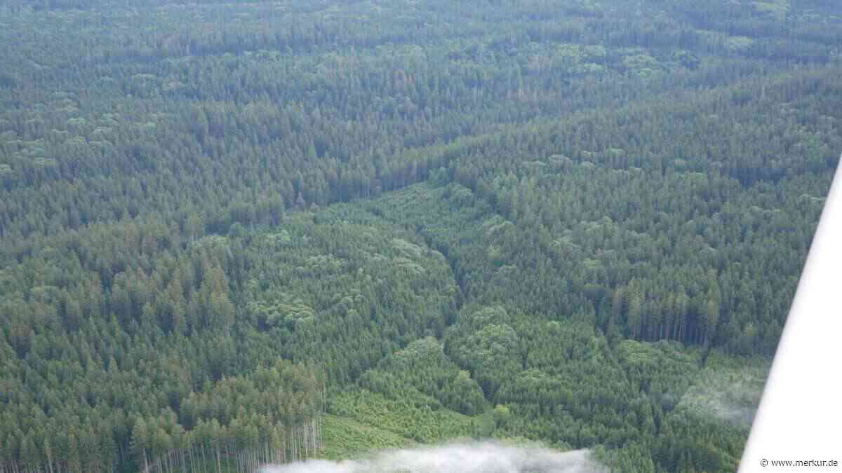 Rauchsäulen über dem Wald: Flugzeuge und Feuerwehren rückten zum Sachsenrieder Forst aus