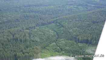 Rauchsäulen über dem Wald: Flugzeuge und Feuerwehren rückten zum Sachsenrieder Forst aus