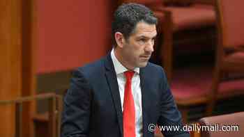 Health minister Mark Butler slams Senator Alex Antic's bird flu 'conspiracy theory' outburst: 'Remarkable even for him'