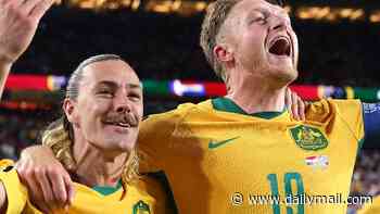 Socceroos reach World Cup knockout stage for third time after gritty Paraguay draw as Tony Popovic's gamble pays off