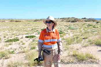 Thevenard Island leads rehab charge