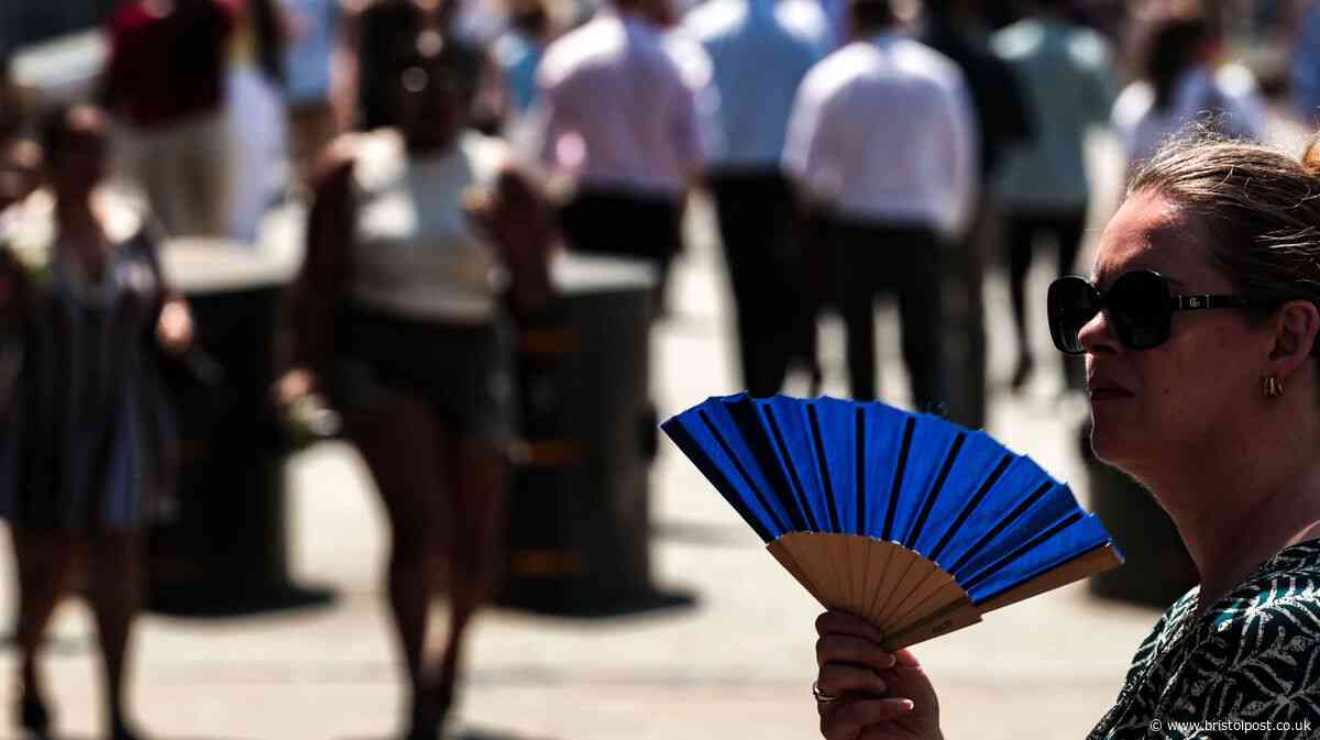 Hosepipe ban, schools closed and alcohol alert in Friday heat update
