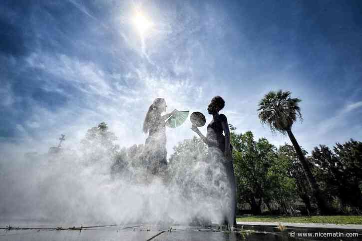 Canicule : que signifient vraiment tous ces records de température ? Décryptage