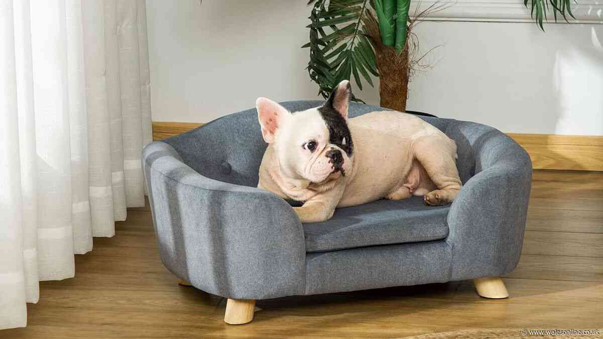 'Stylish' pet sofa bed with 'plenty of room to stretch' now cheaper than Prime Day