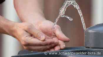 Baden-Württemberg: Bis zu 42 Grad? So heiß wird das Wochenende