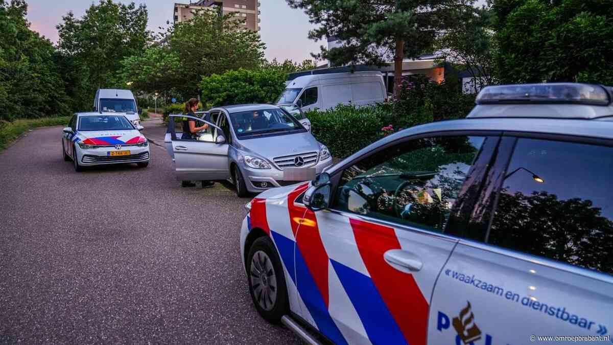 Arrestatie na dollemansrit door Geldrop: 'Had fataal kunnen aflopen'