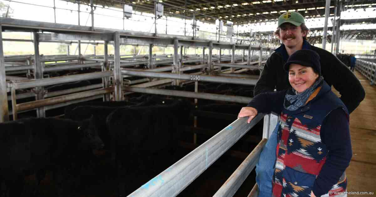 Restocker demand strong as prices hold firm at Yass store sale