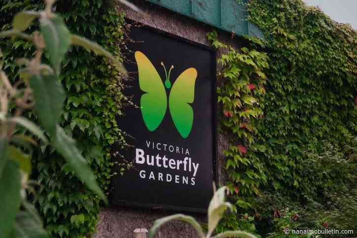 Fire crews tackle blaze at site of Victoria Butterfly Gardens