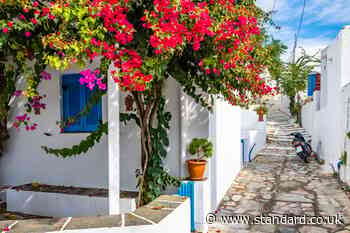 Why Sifnos is Lucy Delius’s Cycladean diamond