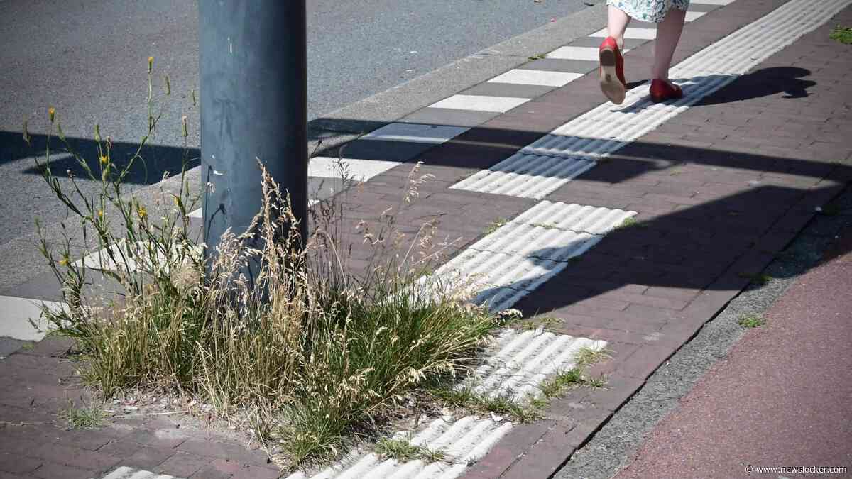 Amsterdamse bushalte lang niet zo toegankelijk als gemeente beweert