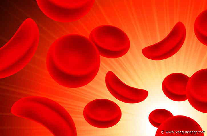 Sickle Cell warriors demand better care, hope, cure