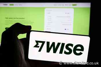 Wise bolsters investor returns despite profits drop