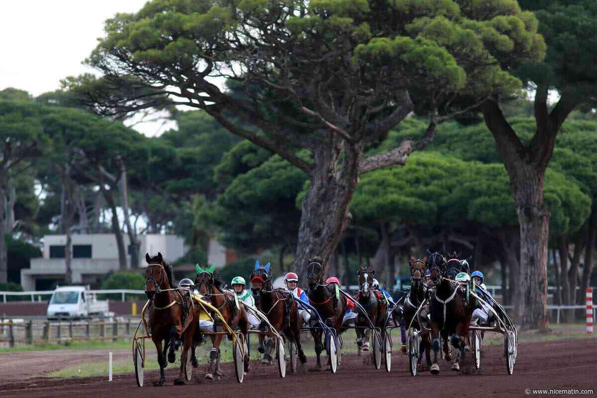 Sept courses au programme de la soirée hippique à Hyères vendredi
