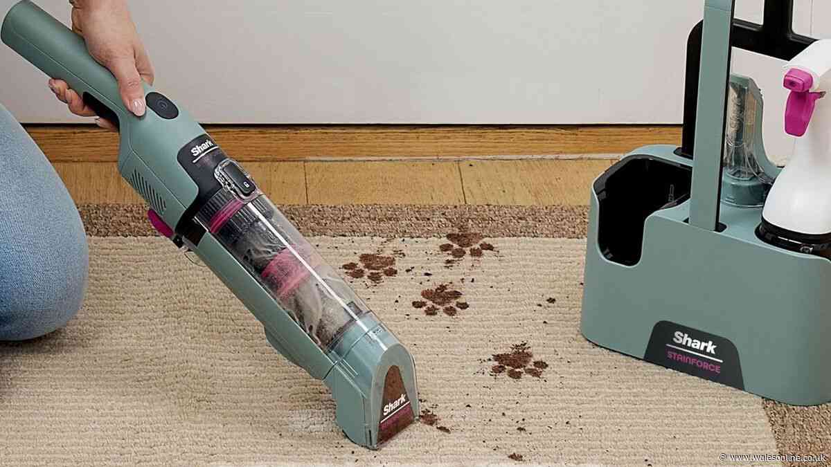 Stacey Solomon's go-to Shark cordless spot cleaner loved by mums and under £100