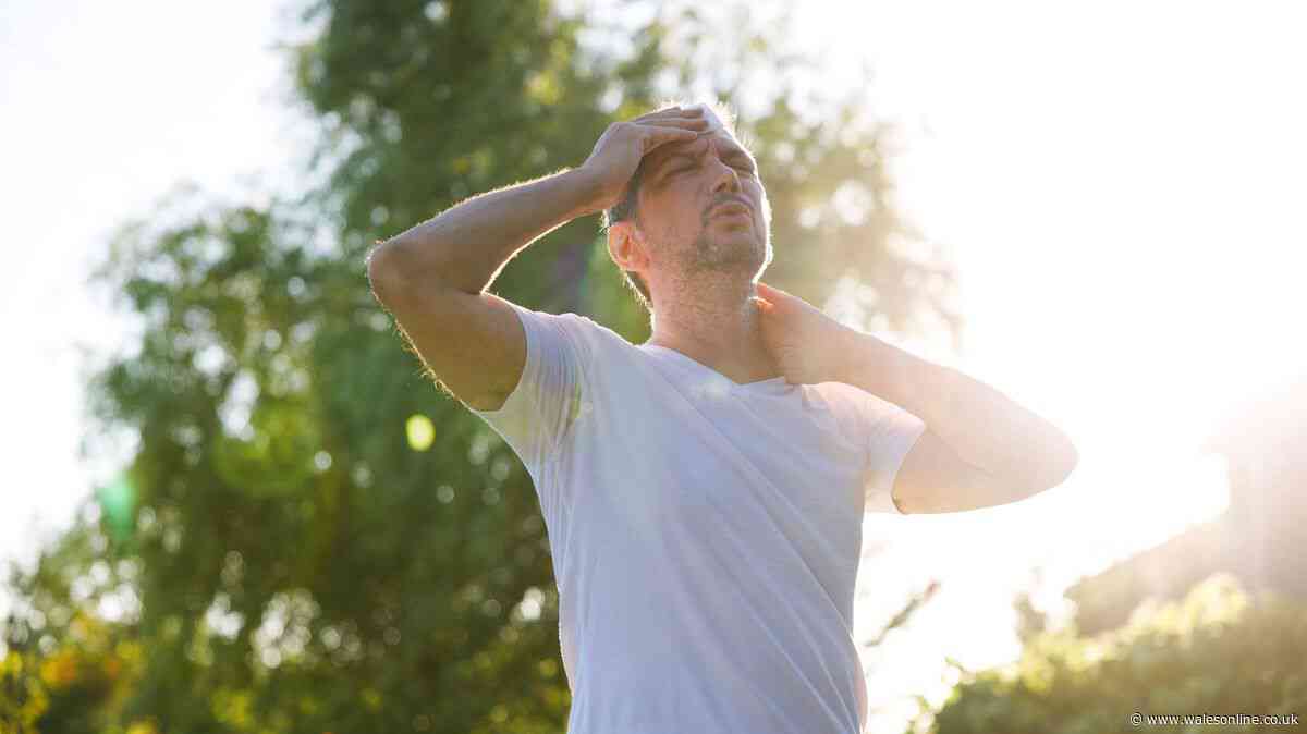 Heatstroke vs heat exhaustion: Symptoms to watch for and when to seek help