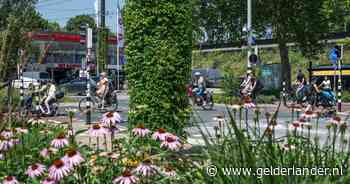 Waarom Arnhem massaal bomen plant tegen de ‘belachelijke’ hitte