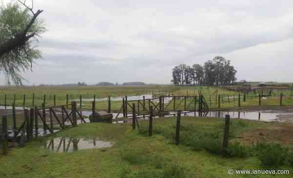El Niño: ¿de qué manera impactará  en los campos de la región?