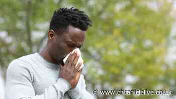 People taking fexofenadine given new update during 36C UK temperatures