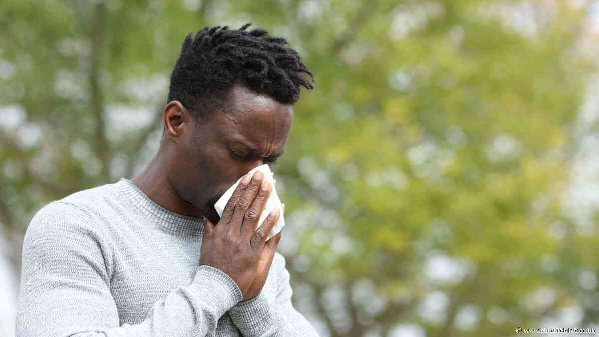 People taking fexofenadine given new update during 36C UK temperatures
