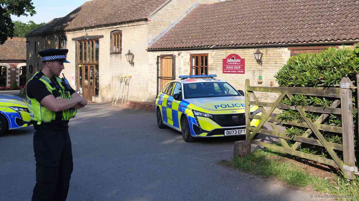Investigation after 40 NHS staff access medical records of boy injured in crocodile attack
