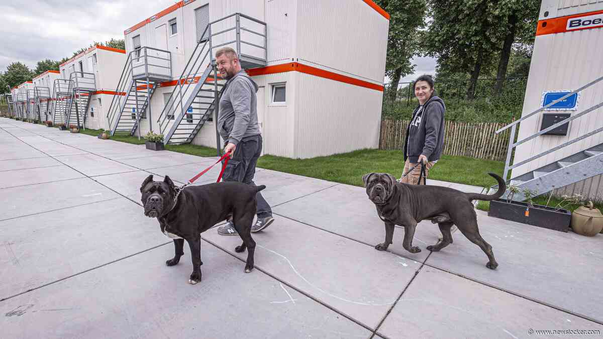 Brussel wil geen vluchtelingenstatus meer voor ontduikers Oekraïense dienstplicht