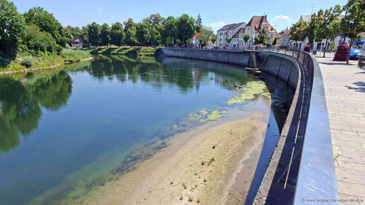 So heiß sind die Flüsse in der Region: Was das für Fische und andere Tiere bedeutet