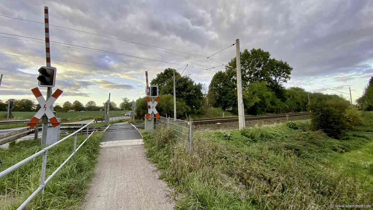 Kuh auf den Gleisen: Bahnverkehr zwischen Hamburg und Lübeck gestört