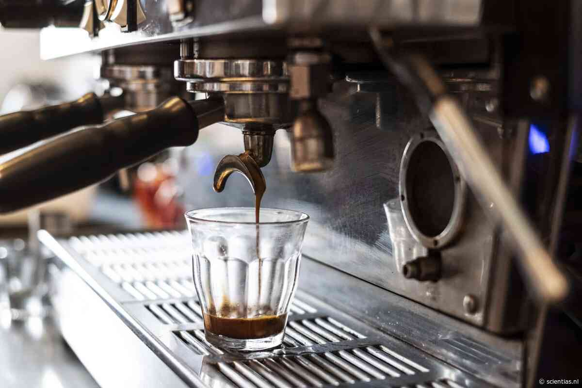 Waarom je espresso soms bitter wordt (en soms perfect): natuurkundigen ontrafelen het mysterie