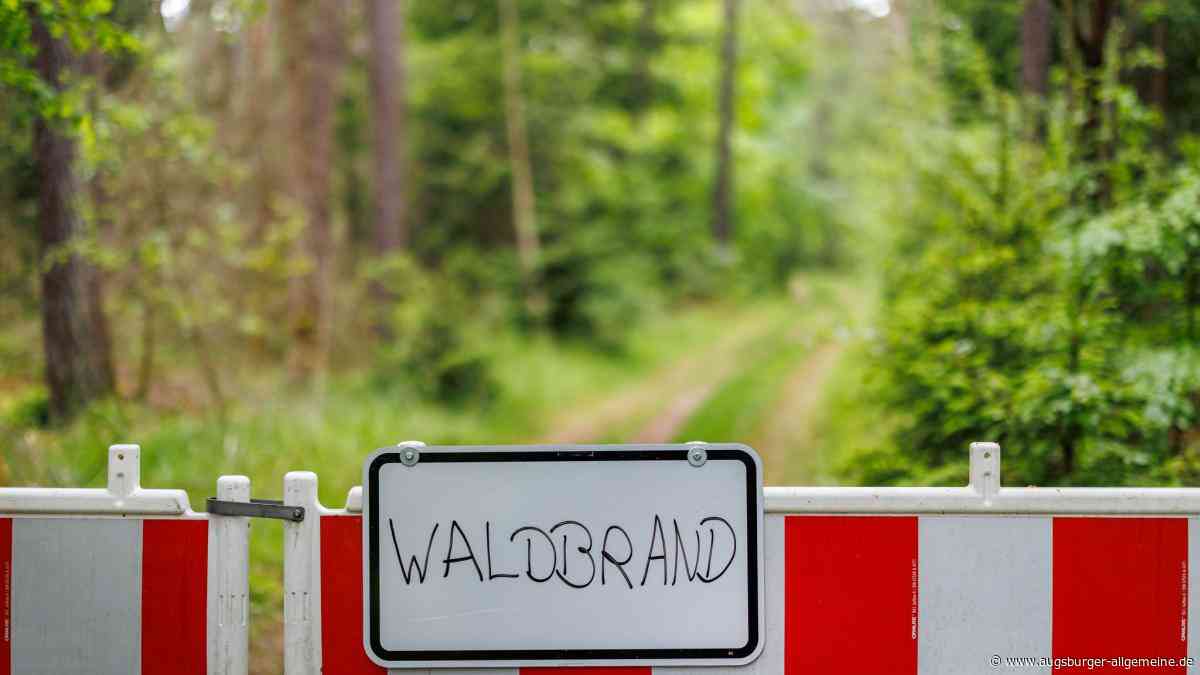 Über 40 Grad und die höchste Waldbrand-Warnstufe: In vielen Regionen Bayerns steigt das Risiko