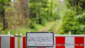 Über 40 Grad und die höchste Waldbrand-Warnstufe: In vielen Regionen Bayerns steigt das Risiko