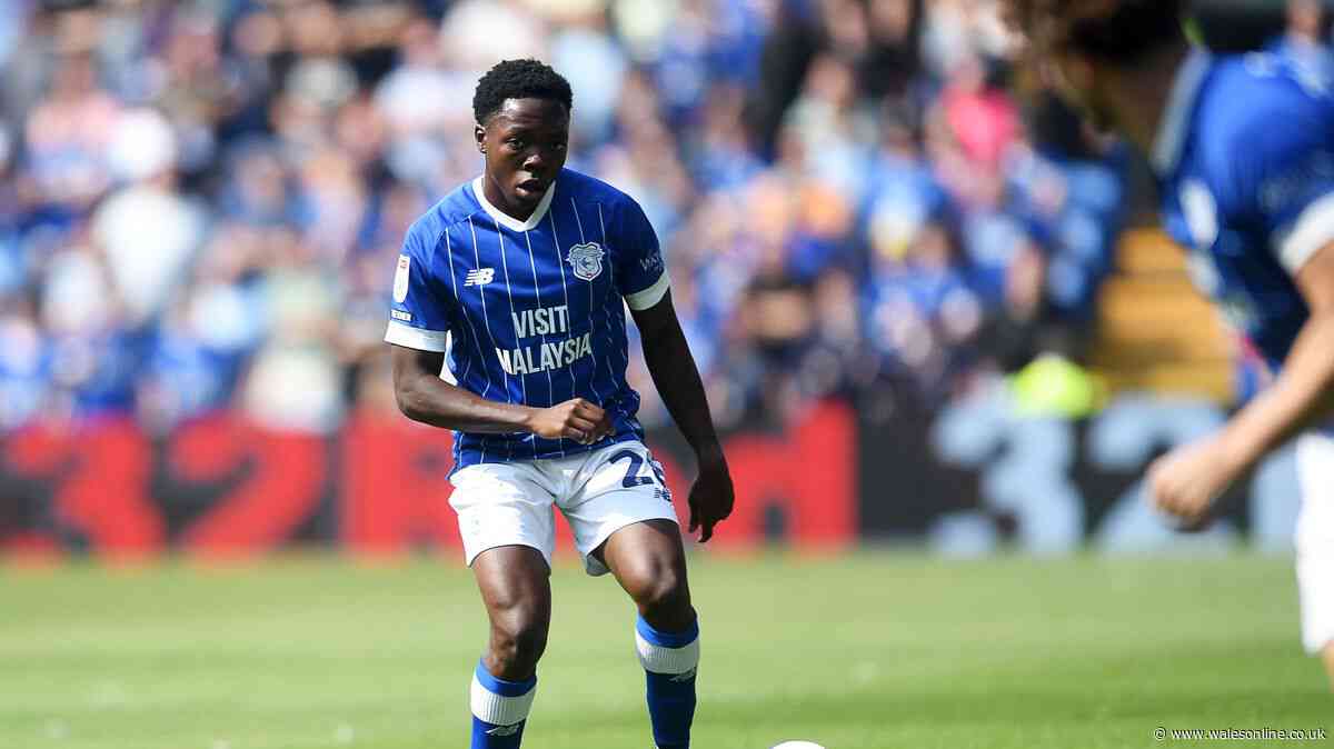 Cardiff City have obvious transfer ploy staring at them as chief keen to 'get deals done'