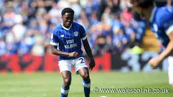Cardiff City have obvious transfer ploy staring at them as chief keen to 'get deals done'