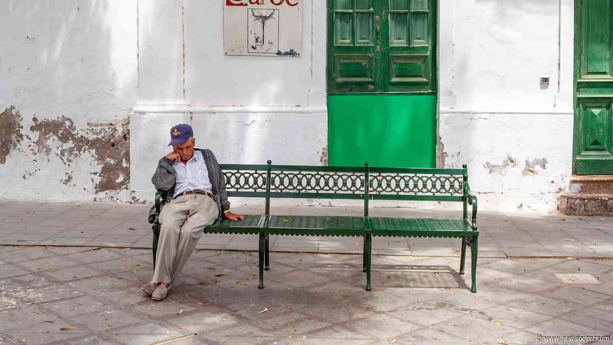 Vaker hitte in Nederland: 'Spaanse si&euml;sta heeft beschermend effect'