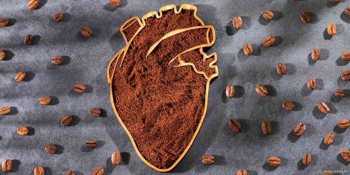 Krijg je een hoger cholesterol van koffie? Dat hangt af van de manier waarop je het zet