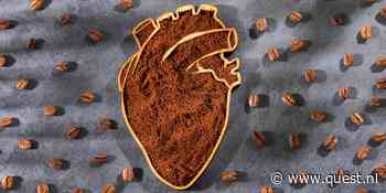 Krijg je een hoger cholesterol van koffie? Dat hangt af van de manier waarop je het zet