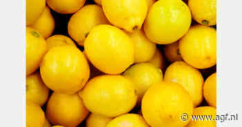 Zimbabwe verhoogt citrusexport met 69%