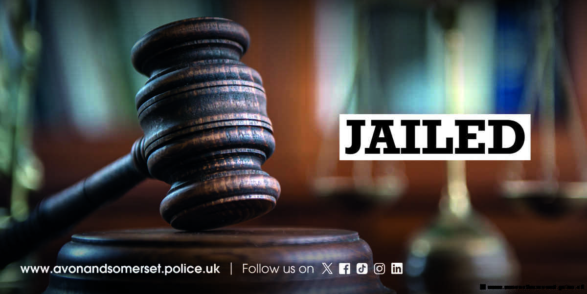 Man jailed for multiple sex offences against children